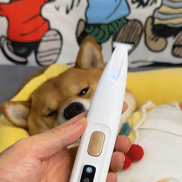 Painless Paw Grooming